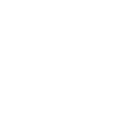 Icône de section